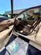 1998 Toyota Camry Base